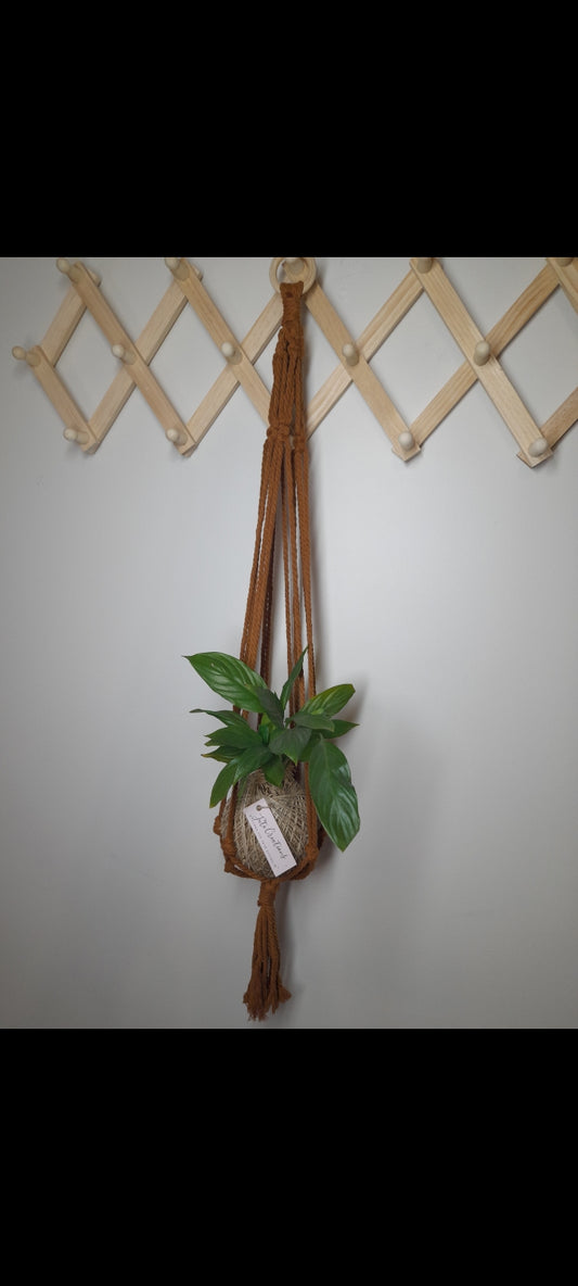 Chocolate - Macrame plant/kokedama hanging string