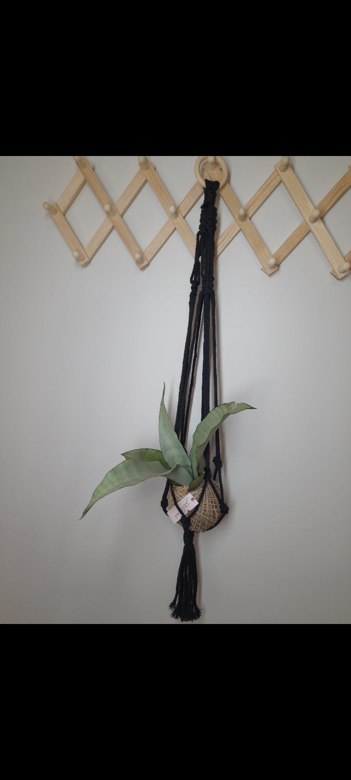 Black - Macrame plant/kokedama hanging string