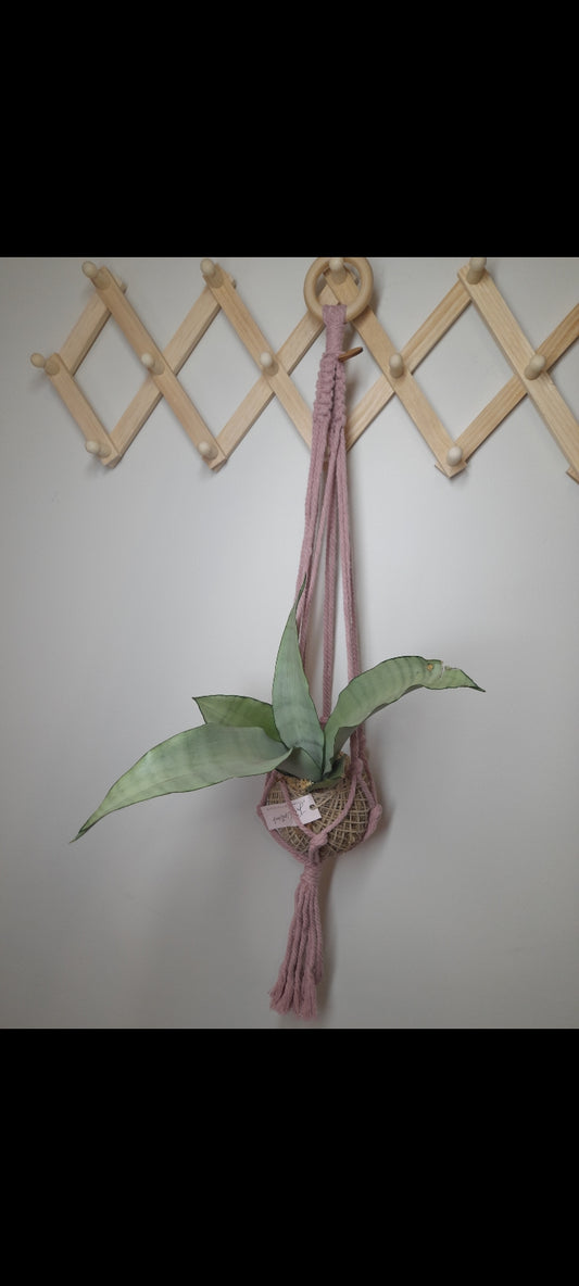 Violet -  Macrame plant/kokedama hanging string