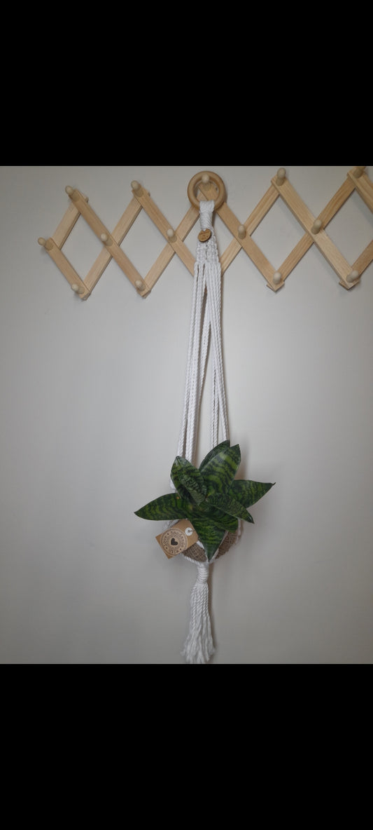 White macrame pot plant/kokedama string